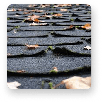Curling Shingles